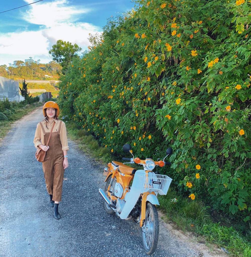 Tháng 11 “check-in” ở Đà Lạt: Bật mí những địa điểm tràn ngập dã quỳ, chẳng sợ chen chúc ảnh 2