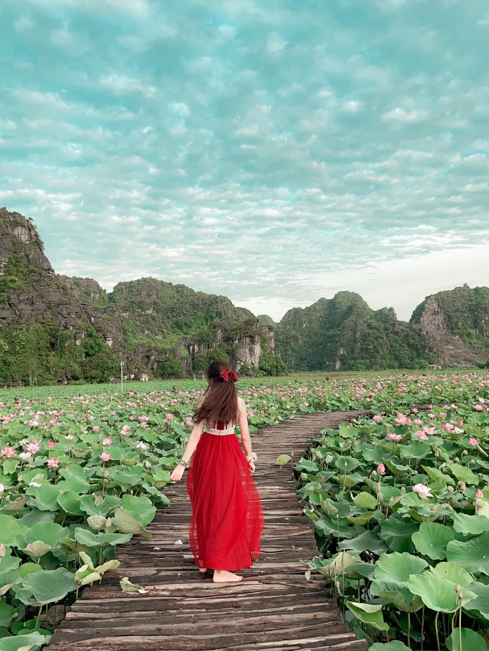 Ninh Bình sau dịch COVID-19: Đầm sen Hang Múa là điểm nhấn thu hút khách du lịch ảnh 4