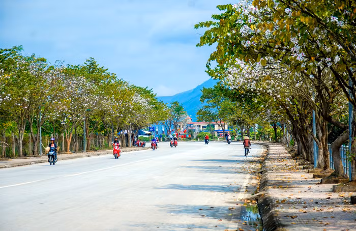 Mùa hoa ban đến rồi, lên đường đi Điện Biên thôi! ảnh 1