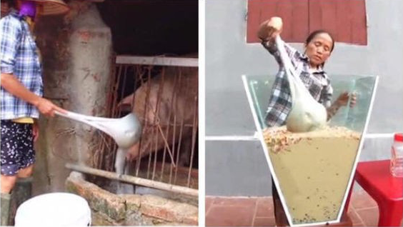 Bà Tân Vlog “đổi gió” với món ăn sang xịn nhưng dân mạng lại “soi” ra điểm bất thường này ảnh 5