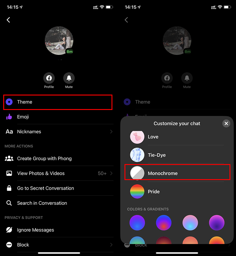 Đổi giao diện Facebook Messenger sang màu đen trắng siêu đẹp, bạn biết cách chưa? ảnh 2
