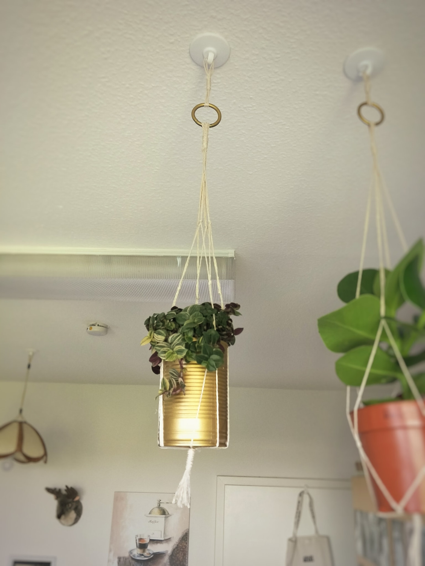 Du học sinh Việt tại Đức chia sẻ bí kíp cắt giảm một nửa chi tiêu để sống sót trong mùa dịch ảnh 10