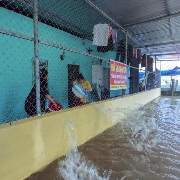 Sinh viên miền Trung xoay sở mùa mưa lũ: Gió quật bay cả mái nhà, “câu cá” trong phòng trọ ảnh 2