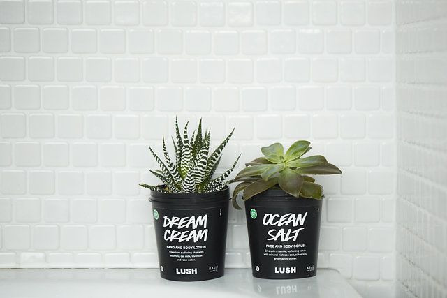 Sen đá được trồng trong mấy cái hũ mask này hơi bị hay. Các tín đồ mỹ phẩm phải làm sao để theo đuổi lối sống “plastic-free“ đang là hot trend? ảnh 5