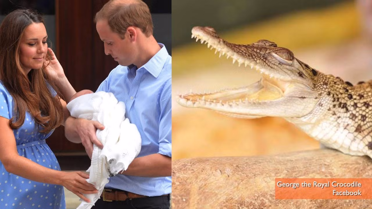 Sức hút lâu đài (Kỳ 1): Dù Meghan Markle tỏ ra không thiết tha, hoàng gia vẫn đầy mị lực ảnh 7