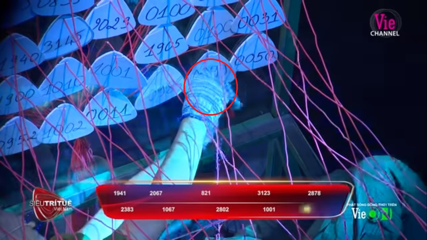 Trấn Thành bị tố ‘nhắc bài’, thiếu kiến thức trong show Siêu trí tuệ Việt Nam ảnh 5