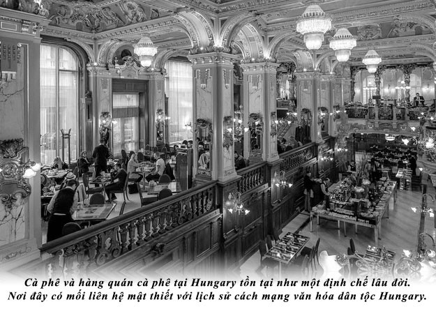 Kỳ 40: Hàng quán cà phê và hào khí dân tộc Hungary ảnh 1