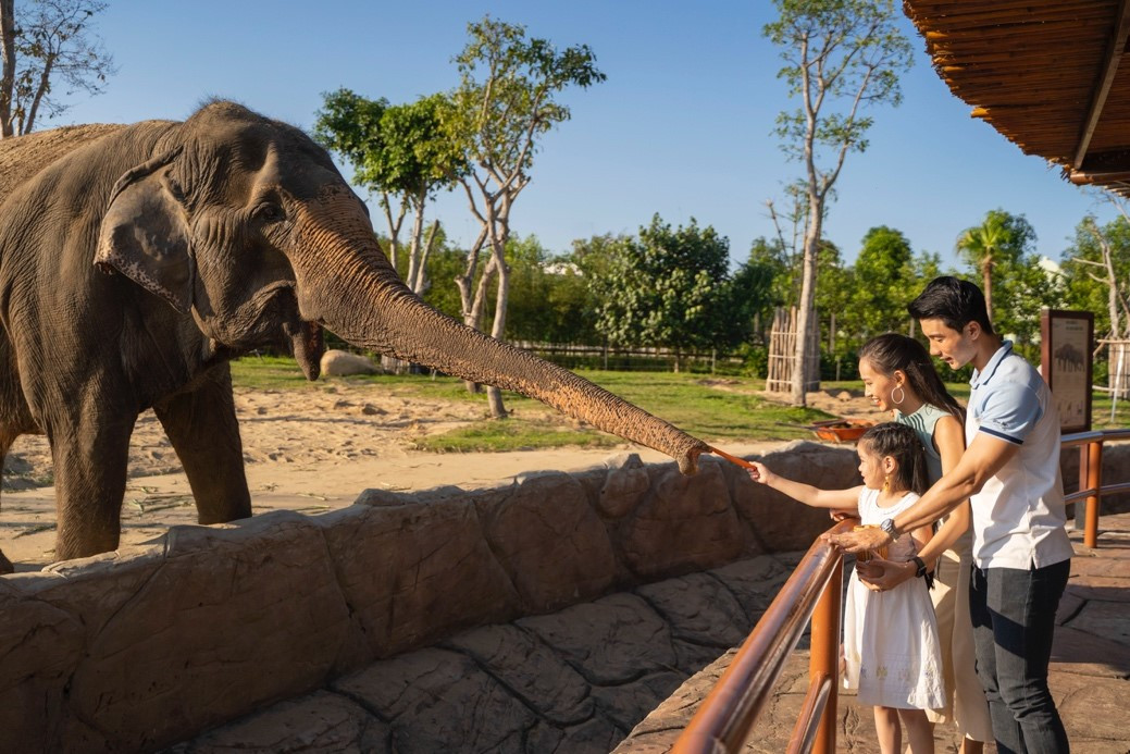 Tháng 6 – thời điểm vàng của những chuyến du lịch “xuyên Việt” ảnh 5