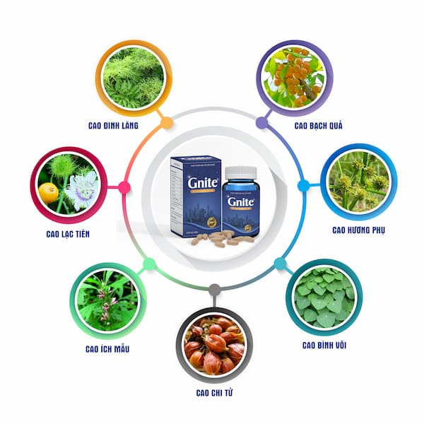 Gnite - Đẩy lùi chứng mất ngủ, khó ngủ ở người cao tuổi ảnh 2