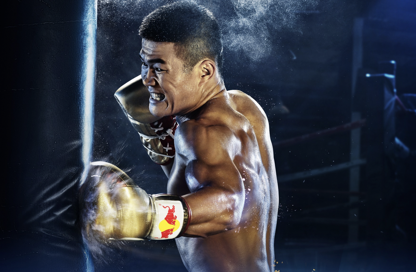 VĐV Trương Đình Hoàng, Võ Thanh Tùng: Chạm đỉnh vinh quang bằng năng lượng tích cực ảnh 4