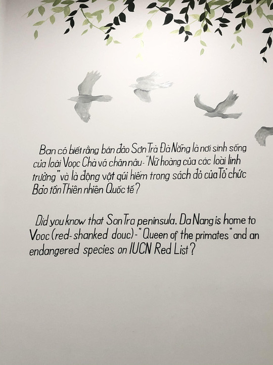 'Voọc Fruit' và thông điệp bảo vệ động vật hoang dã của chàng trai Đà Nẵng ảnh 4