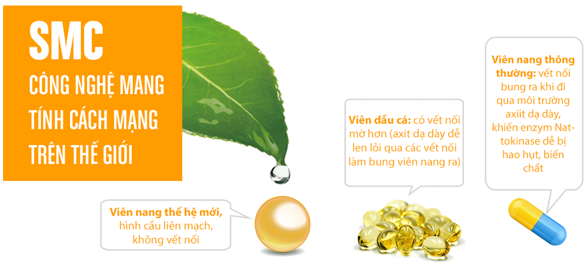 Mỡ máu tăng cao – 'Sát thủ' gây đột quỵ não ảnh 2