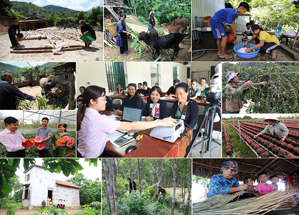 Tín dụng chính sách: Giúp phụ nữ Việt tích luỹ nhu cầu tài chính ảnh 1