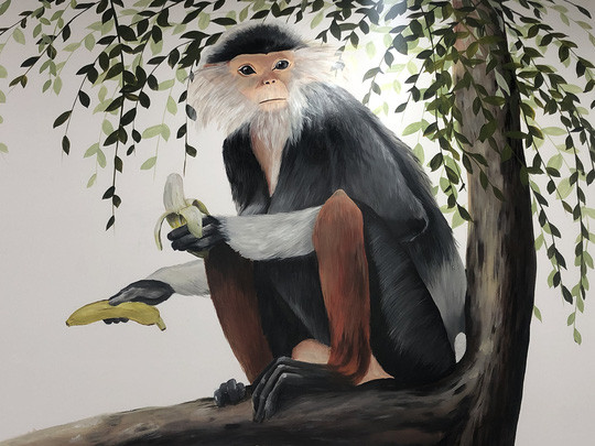 'Voọc Fruit' và thông điệp bảo vệ động vật hoang dã của chàng trai Đà Nẵng ảnh 3