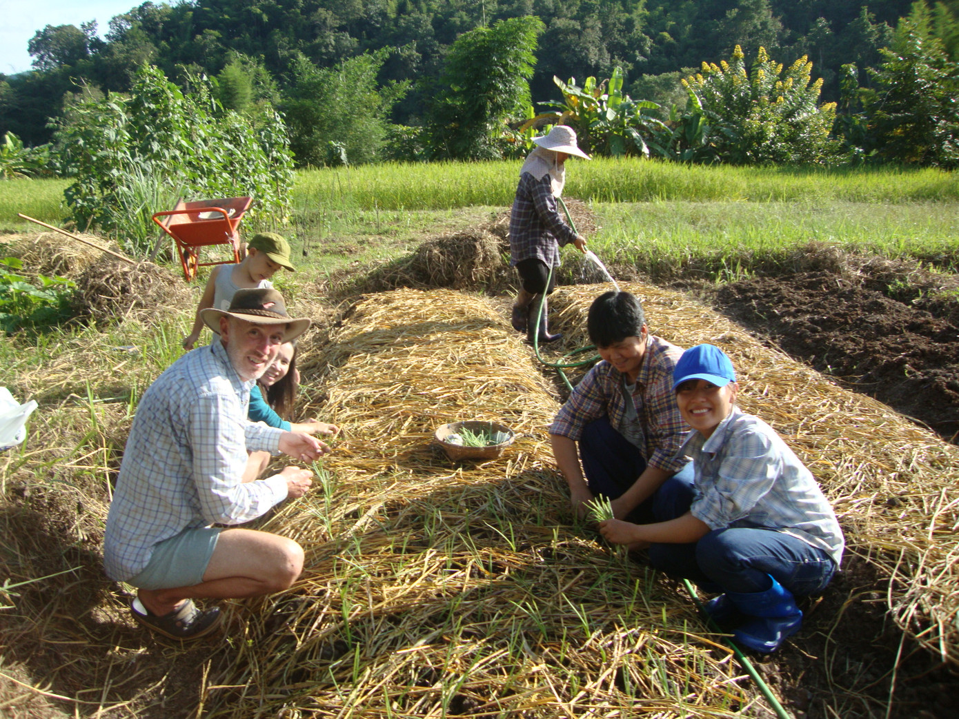Giáo viên bản ngữ thất nghiệp ảnh 1