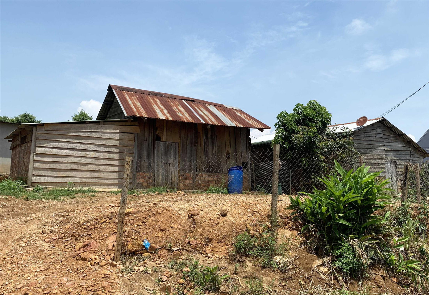 'Bốc hơi' hơn 500 ha rừng ở Lâm Đồng: Chuyển hồ sơ sang công an ảnh 1