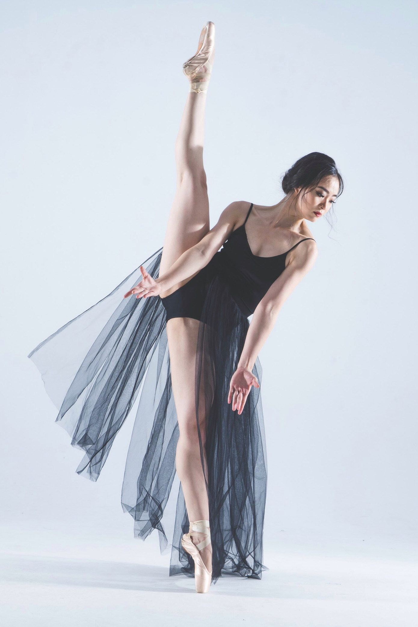 Giấc mơ của thiên nga Thu Huệ ảnh 1