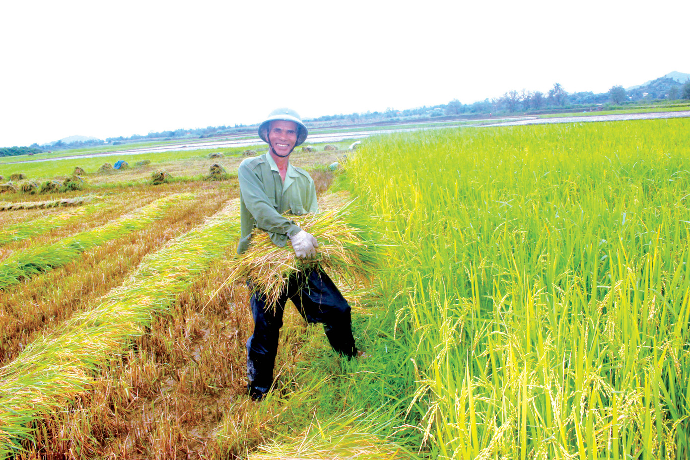 'Soi' lời hứa của Bí thư huyện trúng tuyển ảnh 2