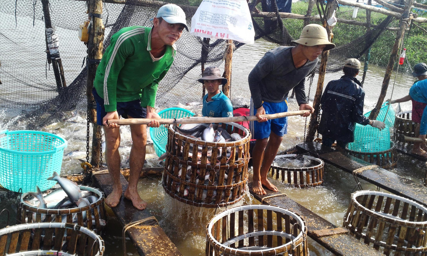 Nông nghiệp hướng đến xuất khẩu đạt 44 tỷ USD ảnh 1