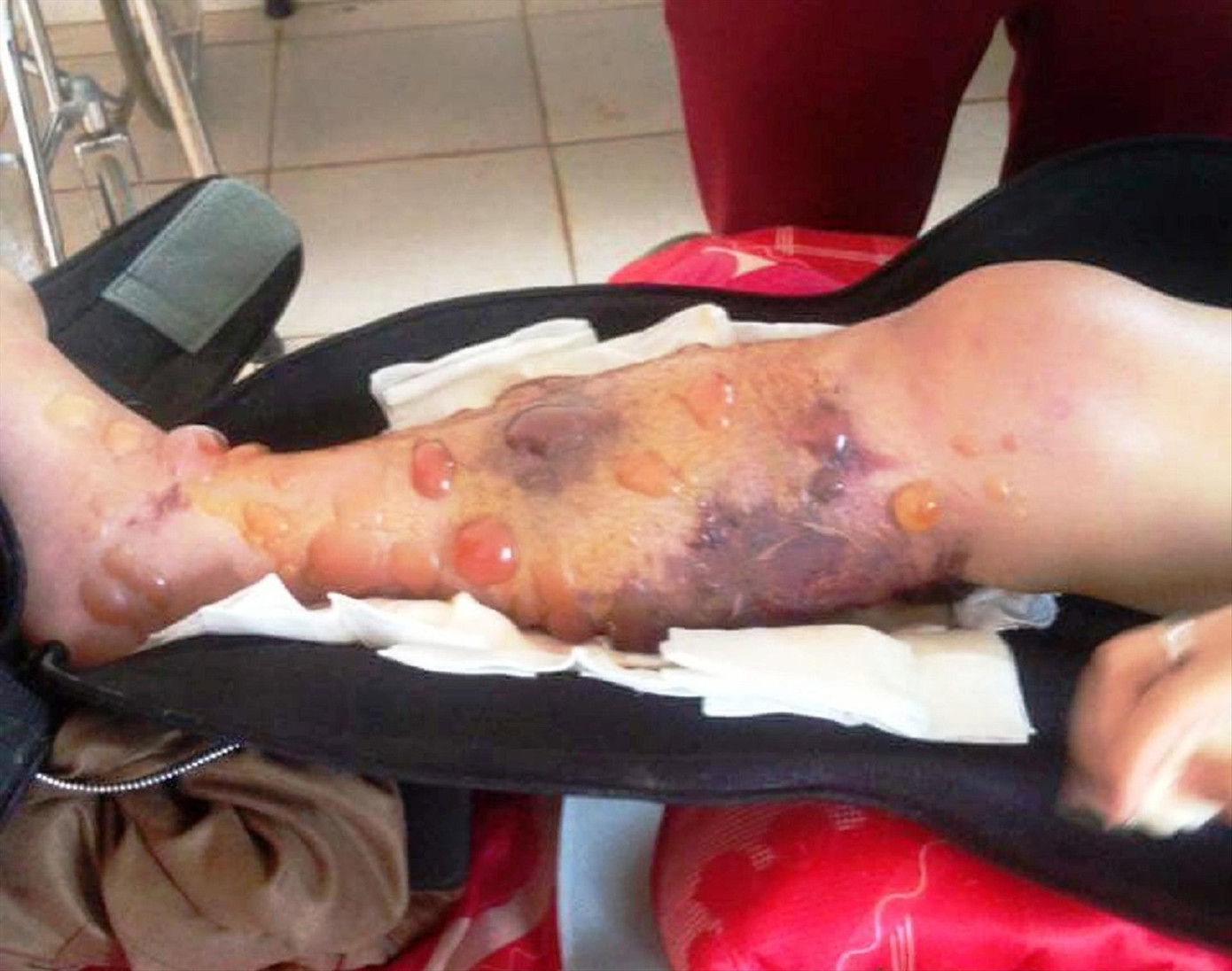 Sự thật - hành trình trần ai: Cầu thị trên... giấy ảnh 2