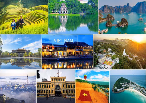 Vườn Tri thức Việt - Không gian văn hoá sáng tạo hút giới trẻ ảnh 14