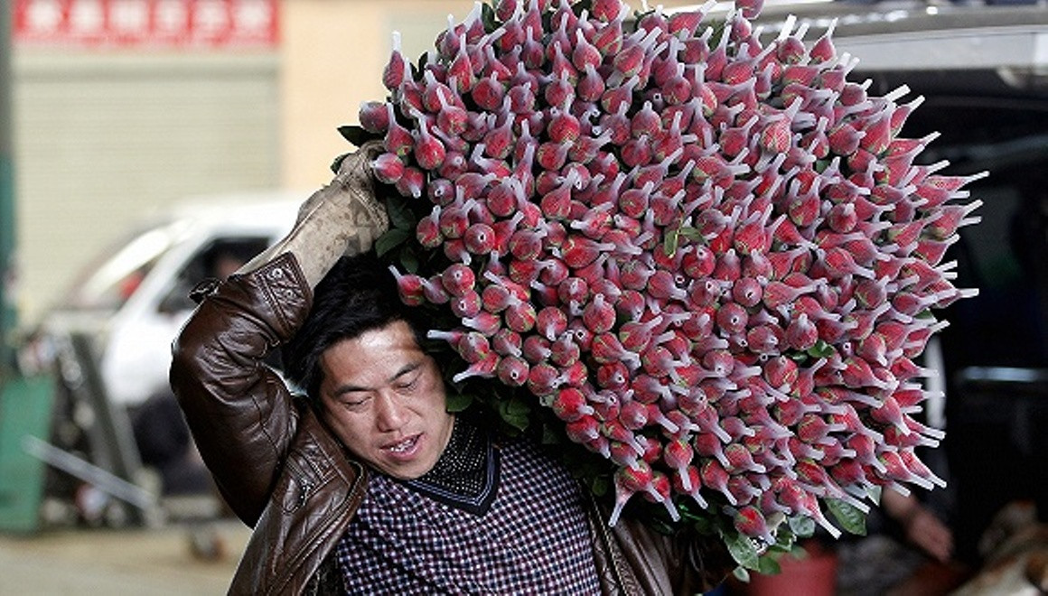 Trung Quốc: Nông dân trồng hoa khốn đốn vì dịch COVID-19 ảnh 2