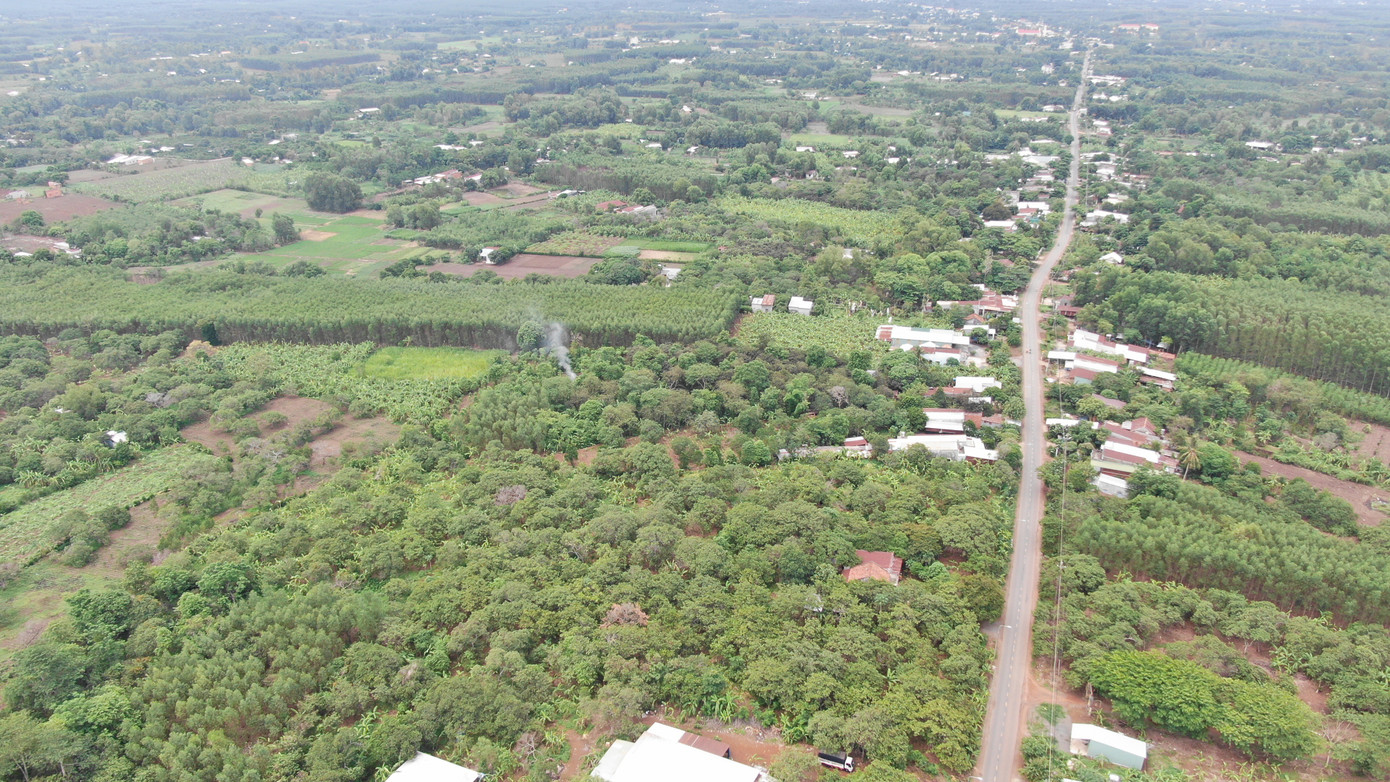 Gian nan giải tỏa mặt bằng sân bay Long Thành ảnh 2