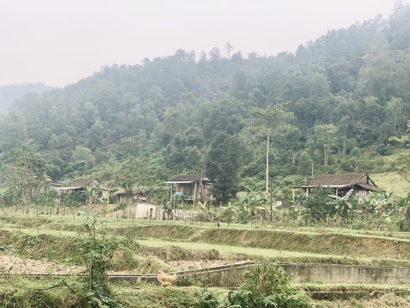 Nữ thủ lĩnh người Chứt dưới đỉnh Ka Đay ảnh 2