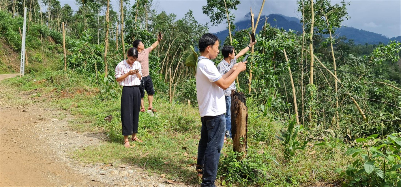 Ám ảnh nóc ông Đề ảnh 1