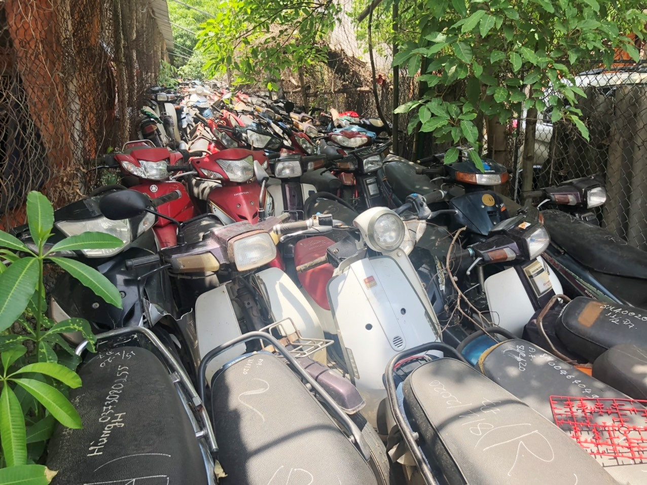 Vụ dùng bãi không phép làm nơi “giam” nghìn xe vi phạm: Công an nói gì? ảnh 1