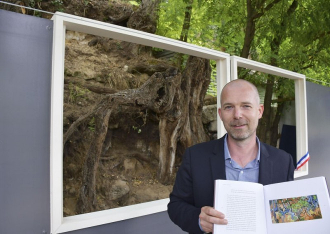 Tấm bưu thiếp cổ tiết lộ về cái chết bí ẩn và ý nghĩa bức tranh cuối cùng của Van Gogh ảnh 4