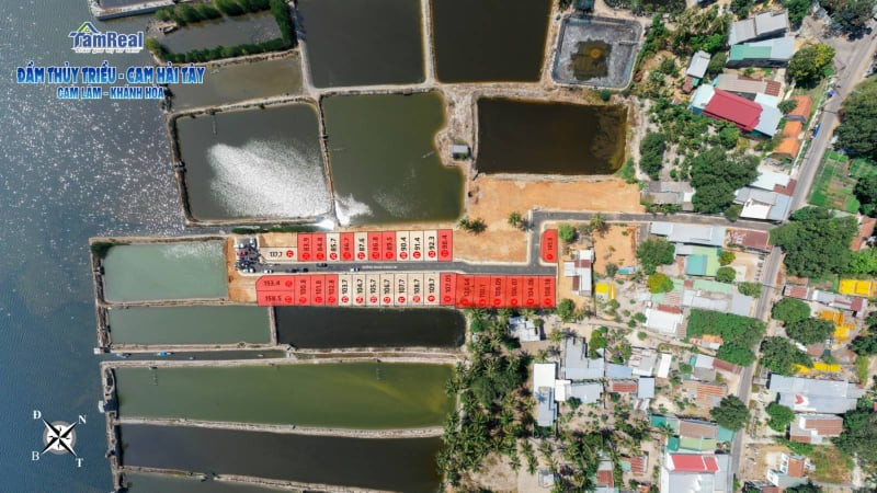 Tái diễn phân lô, bán nền tràn lan ở Khánh Hòa ảnh 1