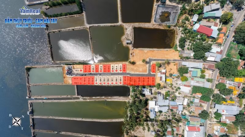 Tái diễn phân lô, bán nền tràn lan ở Khánh Hòa ảnh 1