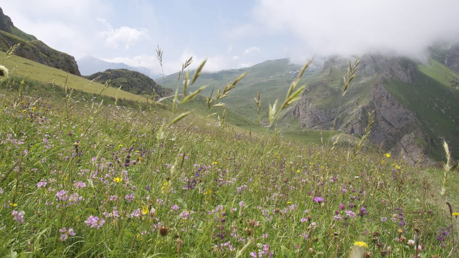[HỒ SƠ] Bí quyết sống lâu của người thọ 168 tuổi mà Bác Hồ gửi bưu thiếp ảnh 5