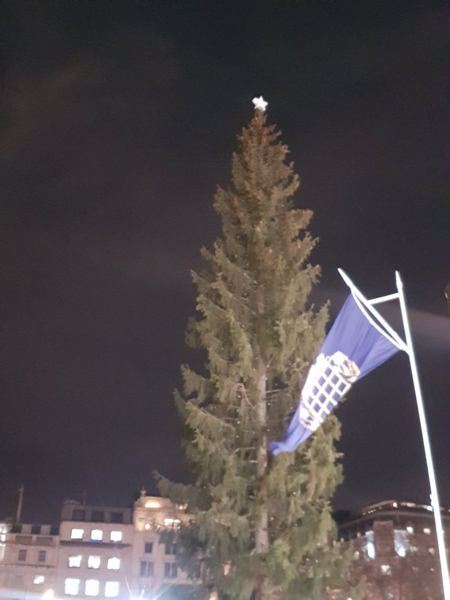 Cây thông Giáng sinh nổi tiếng nhất nước Anh bị chê thậm tệ ảnh 2