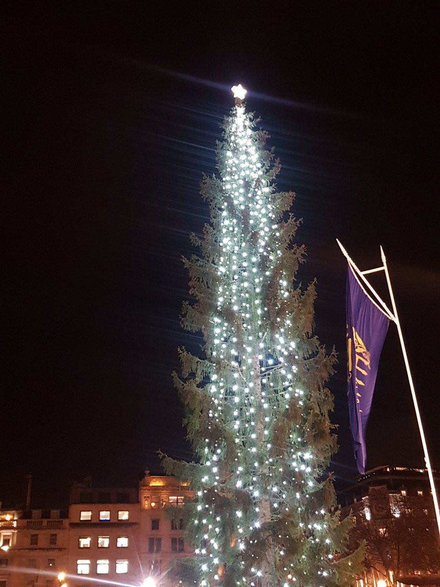 Cây thông Giáng sinh nổi tiếng nhất nước Anh bị chê thậm tệ ảnh 3