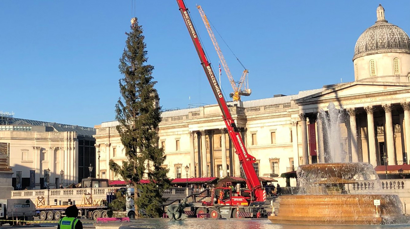 Cây thông Giáng sinh nổi tiếng nhất nước Anh bị chê thậm tệ ảnh 1