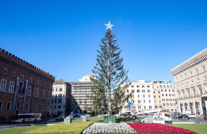 Cây thông Giáng sinh nổi tiếng nhất nước Anh bị chê thậm tệ ảnh 5