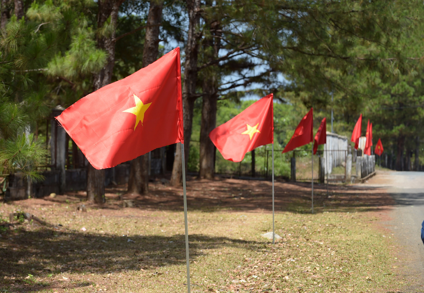 Tiền Phong Marathon hoàn thiện nhiều hạng mục, sẵn sàng đón các runner ảnh 15