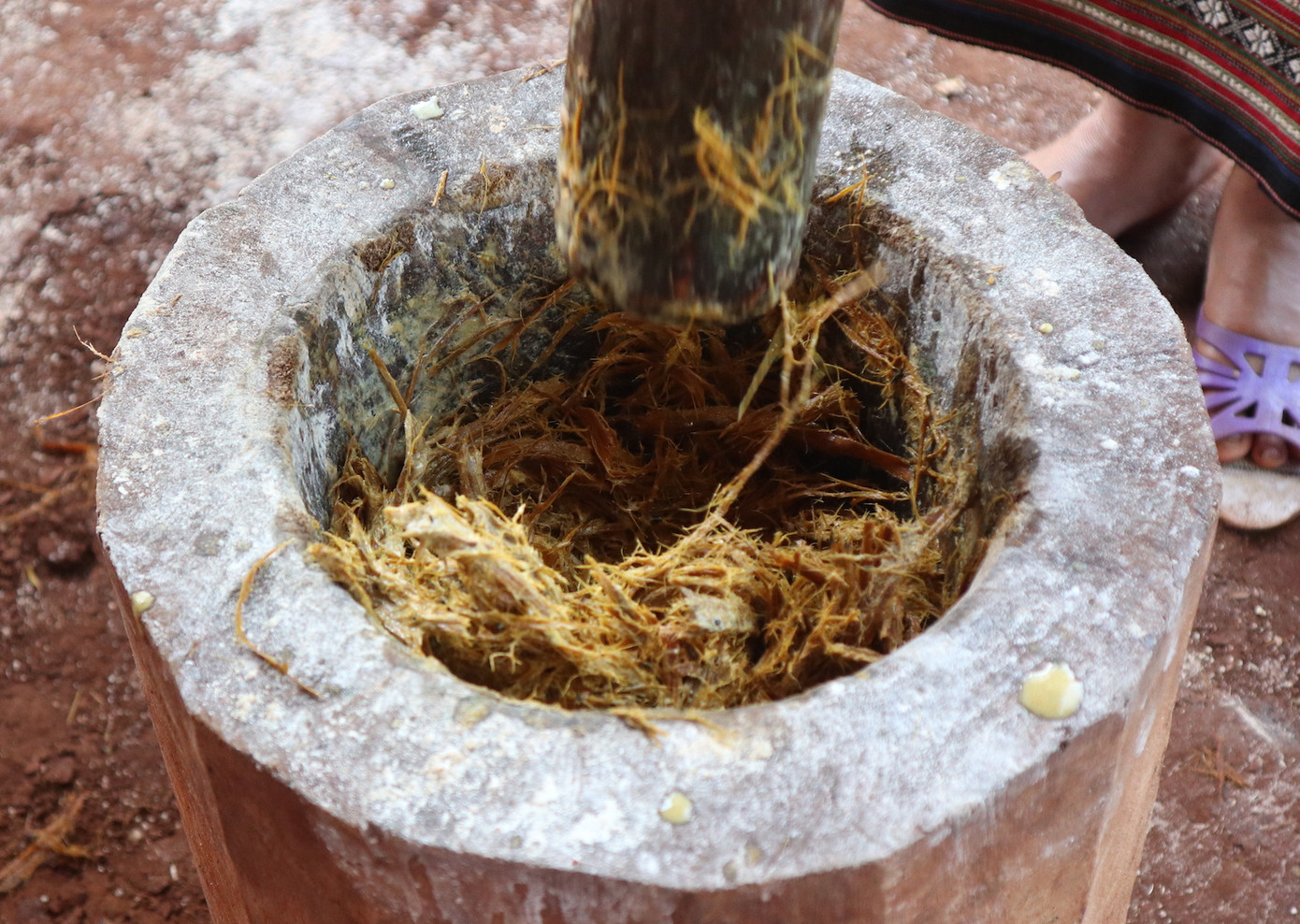 Độc đáo men rượu cần ‘trống mái’ của người Ba Na ảnh 2