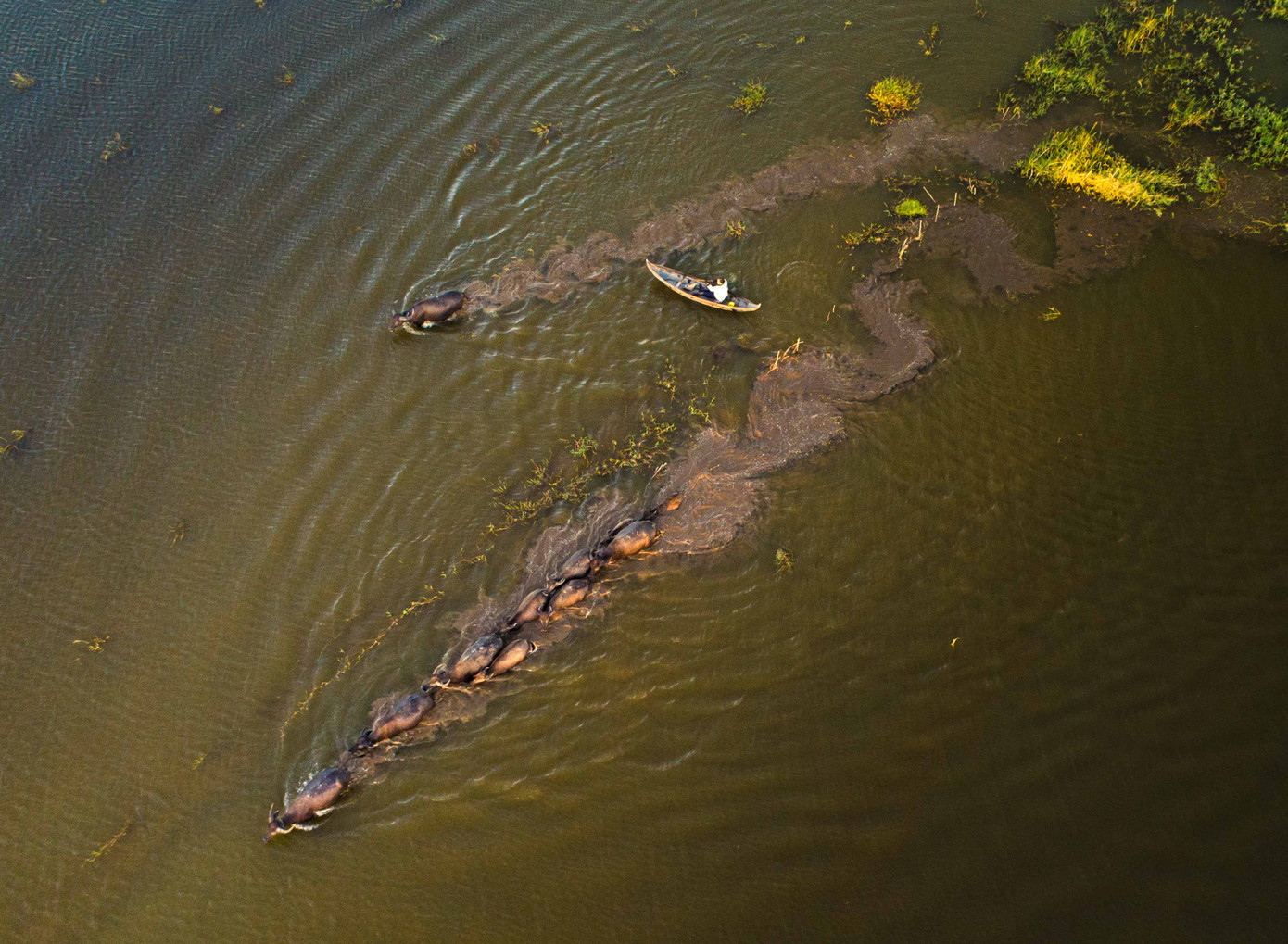 Thảng thốt trước loạt cảnh đẹp quanh phố núi Pleiku ảnh 16