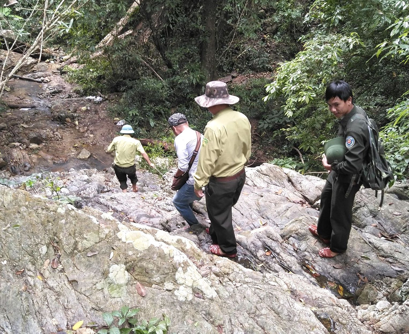 Tận thấy hiện trường rừng giáng hương cổ thụ bị tàn phá ở Tây Nguyên ảnh 2