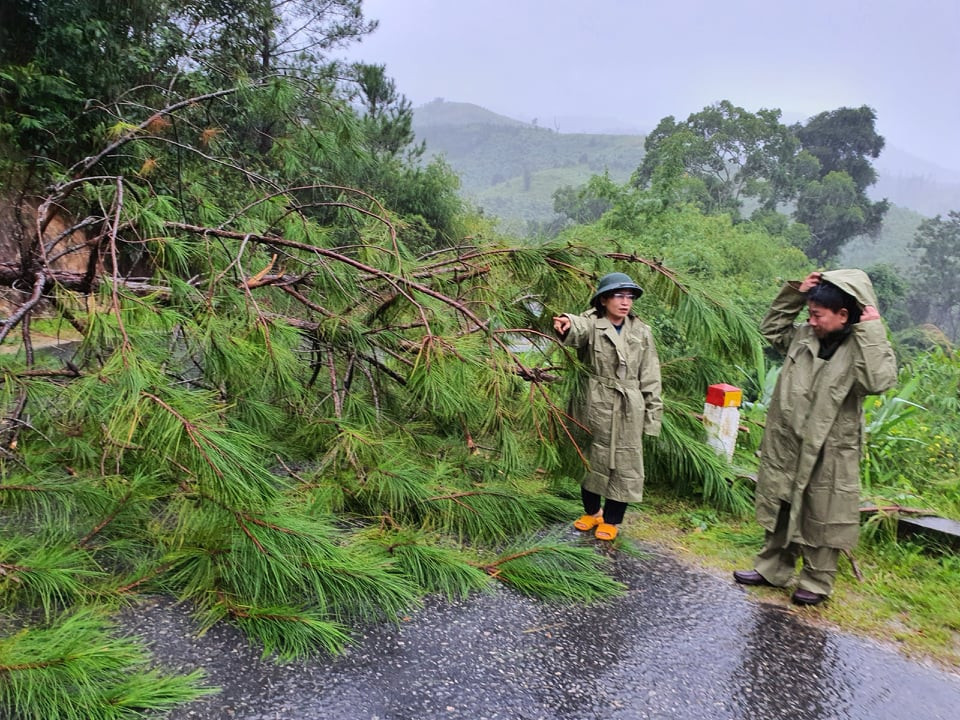 Đã có người tử vong do bão số 9 ở Gia Lai - Kon Tum ảnh 2