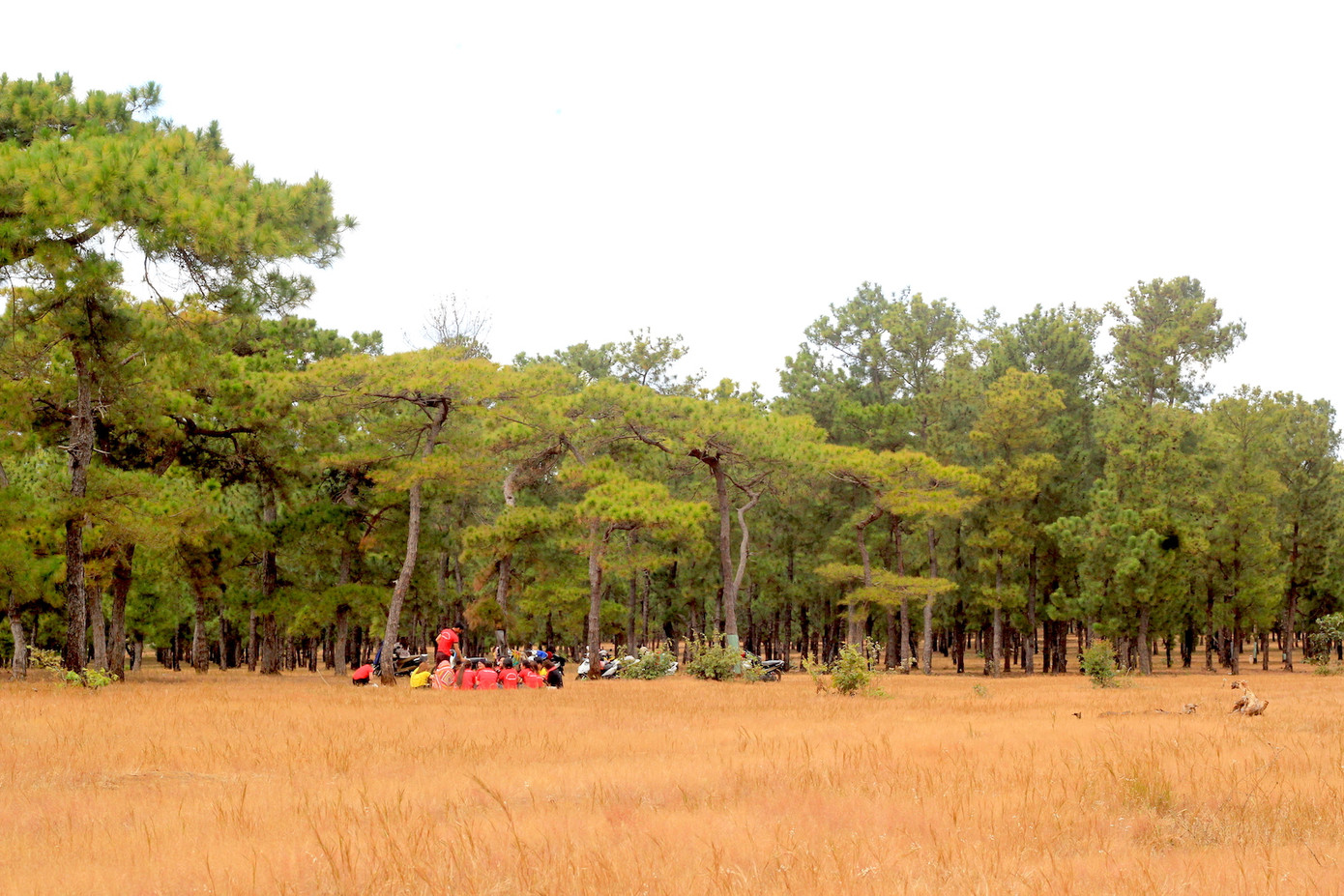 Sân golf ở Gia Lai hoàn thành có lợi ích gì cho dân? ảnh 1