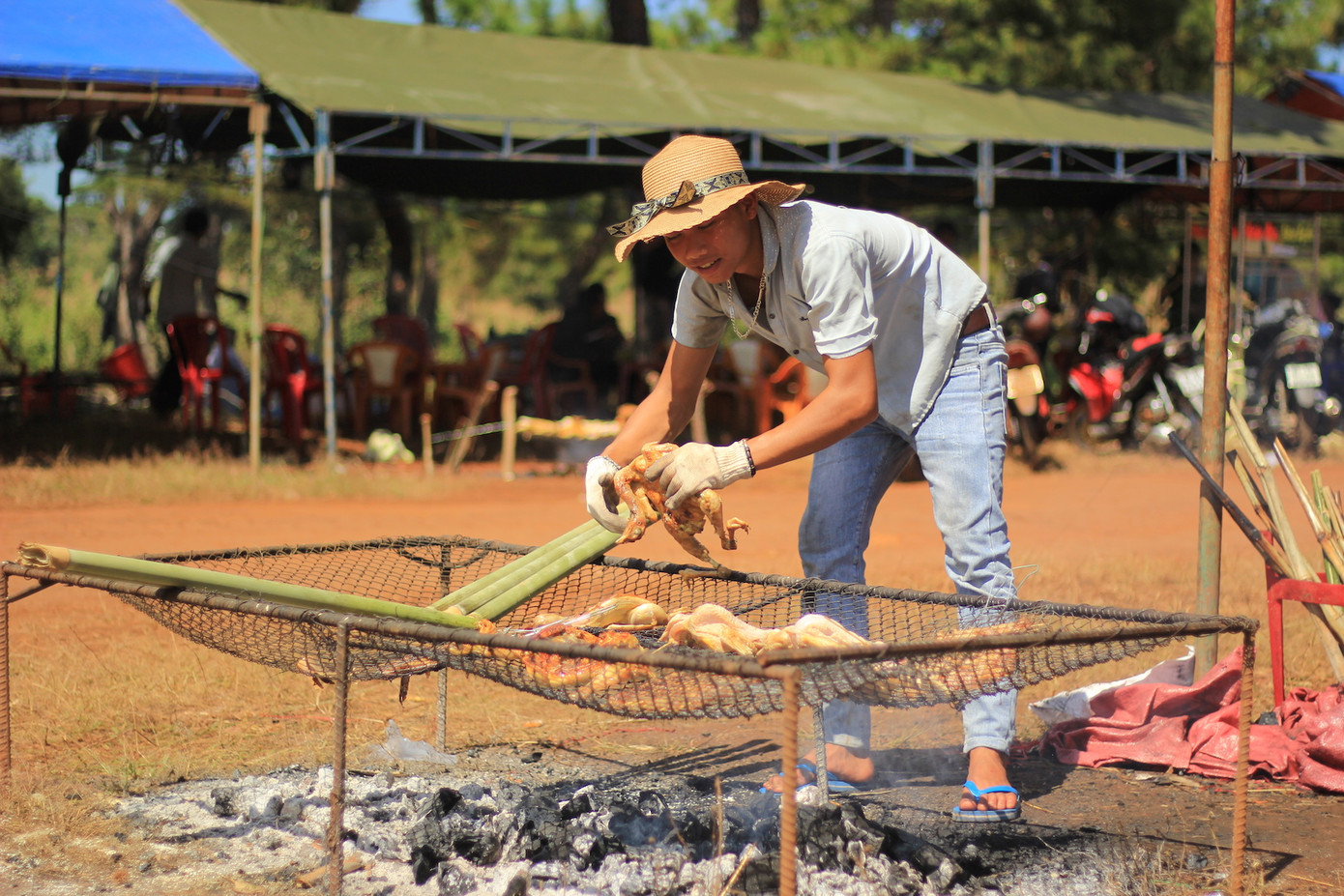 Đổ xô tới ngọn đồi bị loại cỏ 'nhuộm' màu hồng quyến rũ ảnh 12