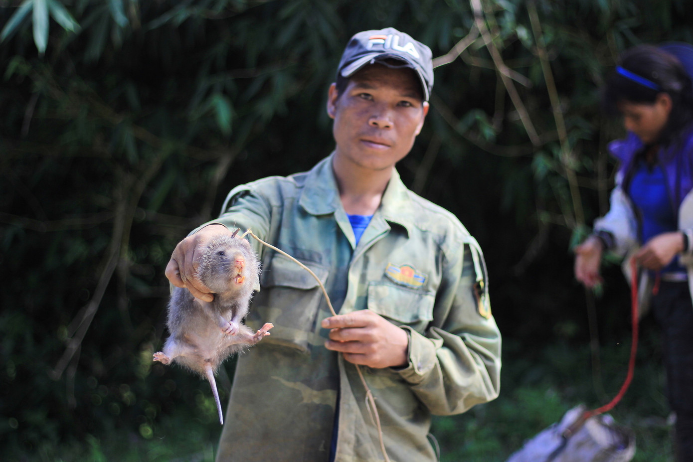 Hình ảnh đẹp bình dị trong 'mùa vàng' của người Xê Đăng dưới chân núi Ngọc Linh ảnh 11