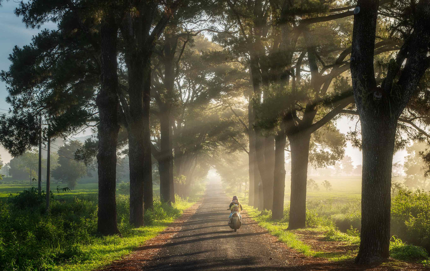 Thảng thốt trước loạt cảnh đẹp quanh phố núi Pleiku ảnh 10