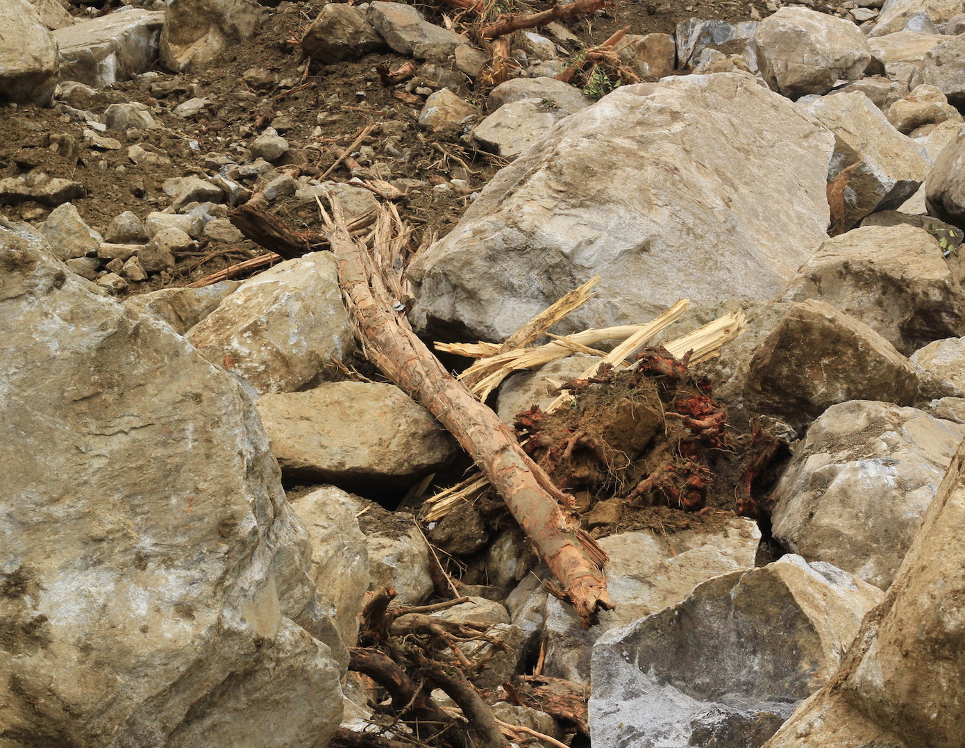 Cận cảnh những tảng đá nặng hơn trăm tấn sạt lở ở Kon Tum ảnh 9