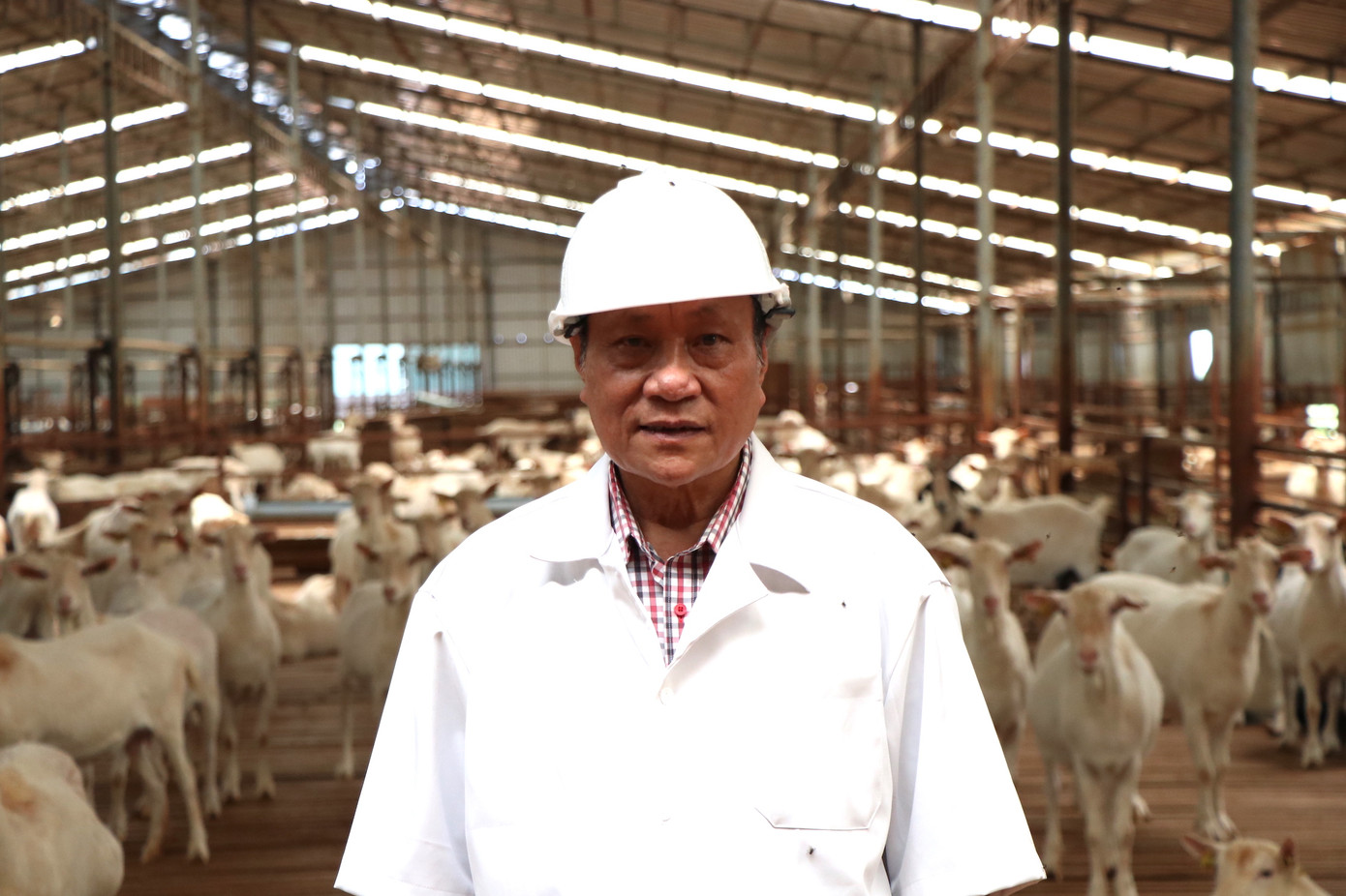 Vị PGS Tiến sỹ dành cả đời cho dê ảnh 1