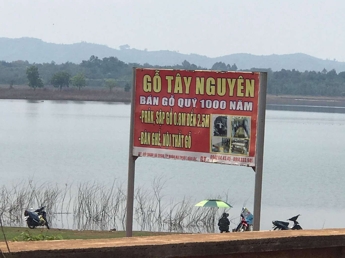 Xem tư dinh quan chức làm mất rừng sở hữu 'kiệt tác' gỗ đồ sộ ảnh 1